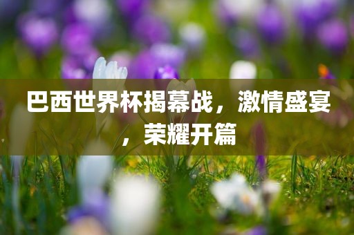 巴西世界杯揭幕战，激情盛宴，荣耀开篇