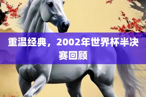 重温经典，2002年世界杯半决赛回顾