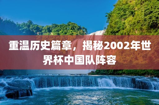 重温历史篇章，揭秘2002年世界杯中国队阵容