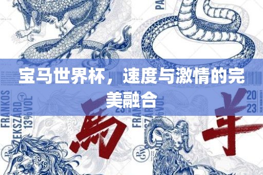 宝马世界杯，速度与激情的完美融合