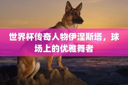世界杯传奇人物伊涅斯塔，球场上的优雅舞者