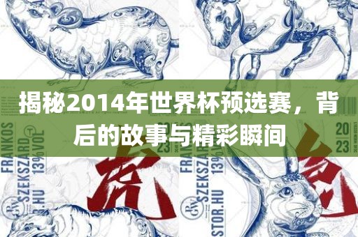 揭秘2014年世界杯预选赛，背后的故事与精彩瞬间