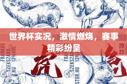 世界杯实况，激情燃烧，赛事精彩纷呈