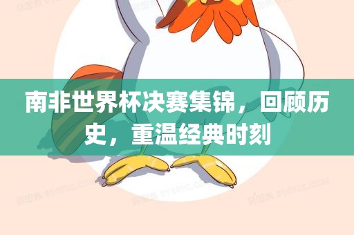 南非世界杯决赛集锦，回顾历史，重温经典时刻