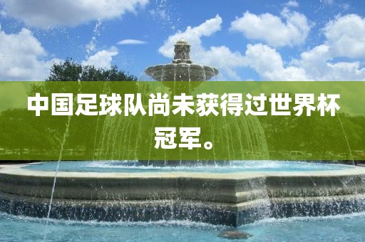 中国足球队尚未获得过世界杯冠军。