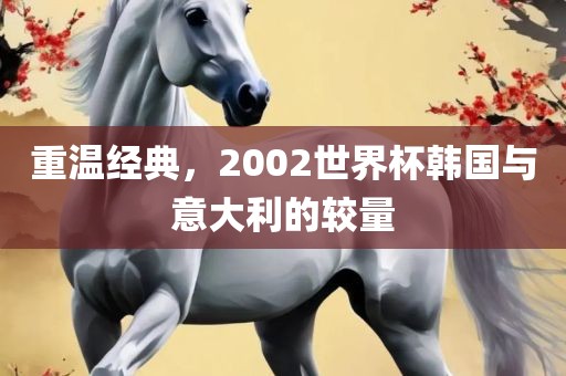 重温经典，2002世界杯韩国与意漯河市盈旭机械设备有限公司大利的较量