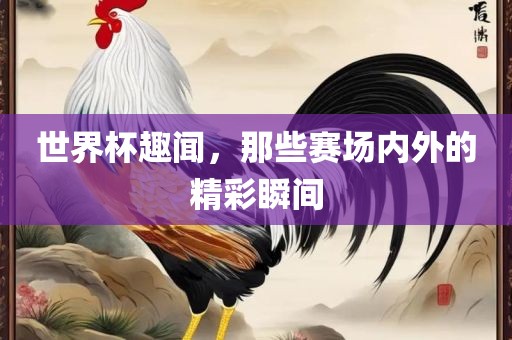 世界杯趣闻，那些赛场内外的精彩瞬间