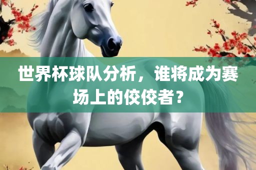 世界杯球队分析，谁将成为赛场上的佼佼者？