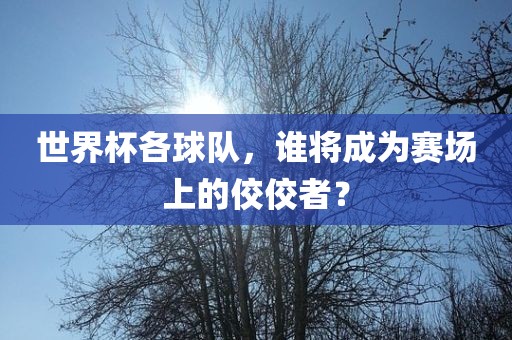 世界杯各球队，谁将成为赛场上的佼佼者？