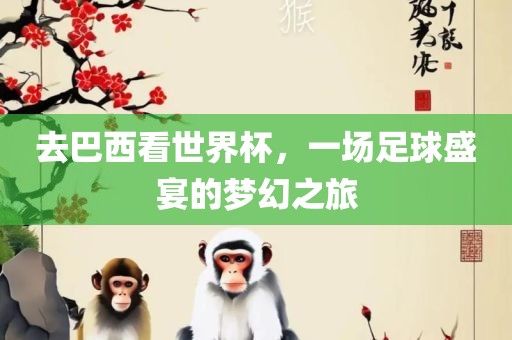 去巴西看世界杯，一场足球盛宴的梦幻之旅