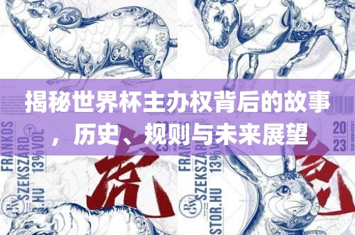 规则与未来展望