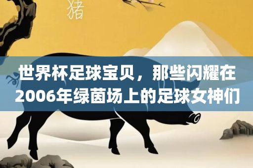 世界杯足球宝贝，那些闪耀在2006年绿茵场上的足球女神们