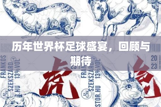 历年世界杯足球盛宴，回顾与期待