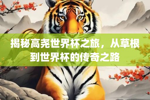 揭秘高尧世界杯之旅，从草根到世界杯的传奇之路