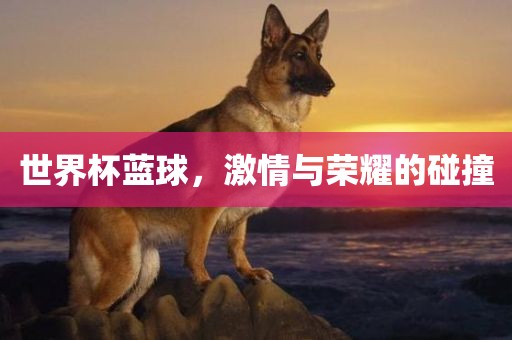 激情与荣耀 第6页