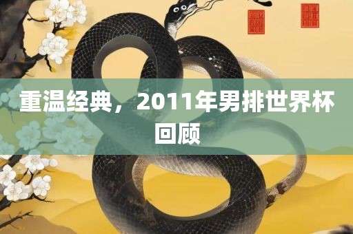 重温经典，2011年男排世界杯回顾