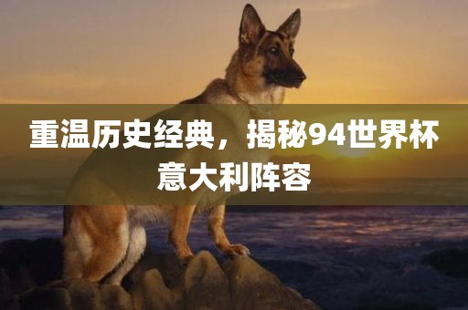 重温历史经典，揭秘94世界杯意大利阵容