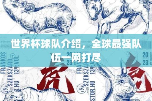 世界杯球队介绍，全球最强队漯河市盈旭机械设备有限公司伍一网打尽