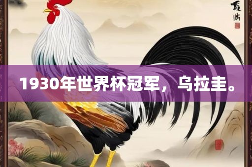 1930年世界杯冠军，乌拉圭。