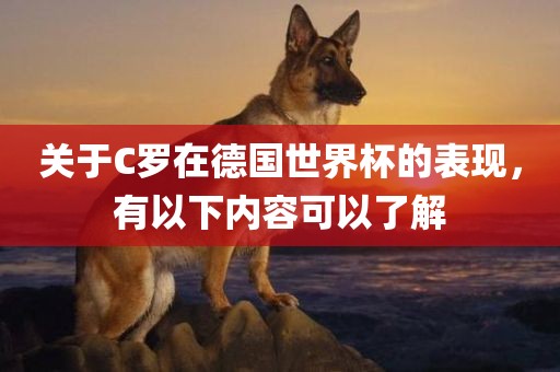 关于C罗在德国世界杯的表现，有以下内容可以了解漯河市盈旭机械设备有限公司