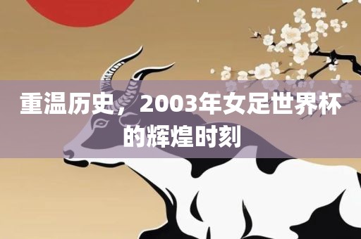 重温历史，2003年女足世界杯的辉煌时刻漯河市盈旭机械设备有限公司