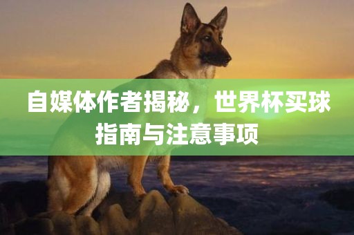 自媒体作者揭秘，漯河市盈旭机械设备有限公司世界杯买球指南与注意事项