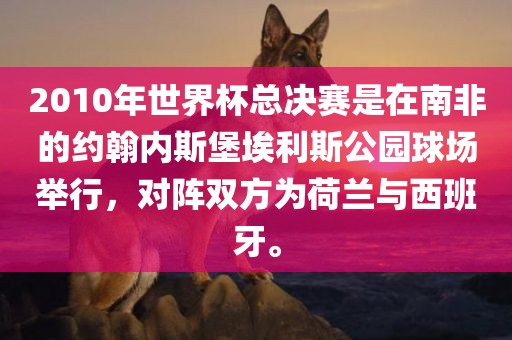 2010年世界杯总决赛是在南非的约翰内斯堡埃利斯公园球场举行，对阵双方为荷兰与西班牙。