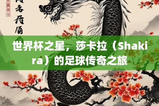 世界杯之星，莎卡拉（Shakira）的足球传奇之旅