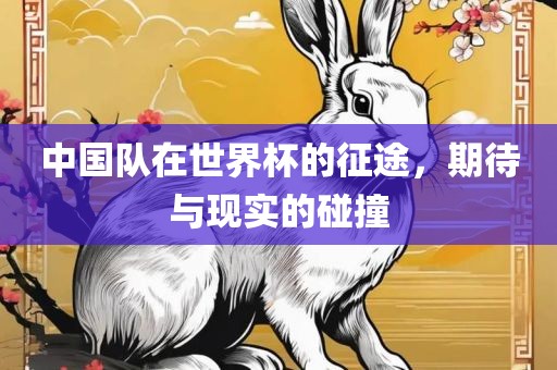 中国队在世界杯的征途，期待与现实的碰撞