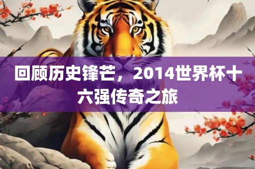 回顾历史锋芒，2014世界杯十六强传奇之旅