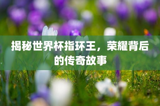 揭秘世界杯指环王，荣耀背后的传奇故事