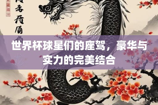 世界杯球星们的座驾，豪华与实力的完美结合漯河市盈旭机械设备有限公司
