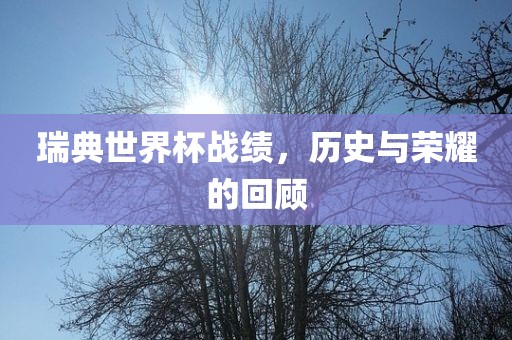 瑞典世界杯战绩，历史与荣耀的回顾