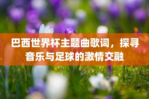 巴西世界杯主题曲歌词，探寻音乐与足球的激情交融