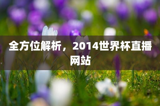 全方位解析，2014世界杯直播漯河市盈旭机械设备有限公司网站