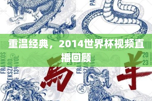 重温经典，2014世界杯视频直播回顾