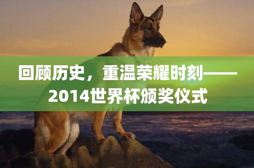 回顾历史，重温荣耀时刻——2014世界杯颁奖仪式