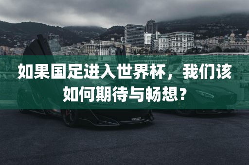 如果国足进入世界杯，我们该如何期待与畅想？漯河市盈旭机械设备有限公司