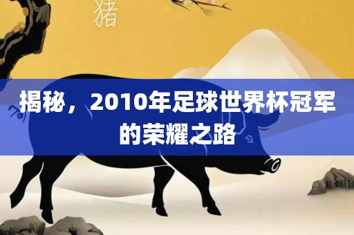 揭秘，2010年足球世界杯冠军的荣耀之路
