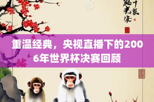 重温经典，央视直播下的2006年世界杯决赛回顾