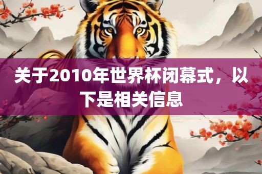 关于2010年世界杯闭幕式，以下是相关信息
