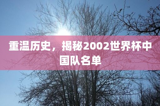 重温历史，揭秘2002世界杯中国队名单
