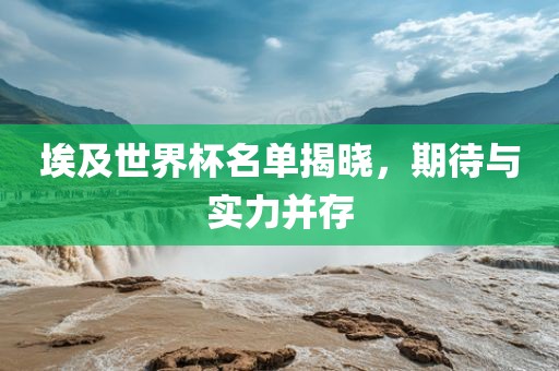 埃及世界杯名单揭晓，期待与实力并存