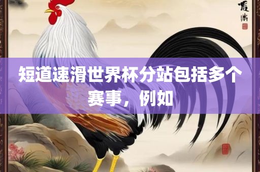短道速滑世界杯分站包括多个赛事，例如