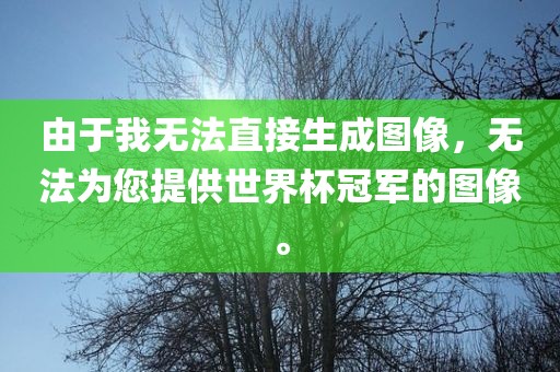 由于我无法直接生成图像，无法为您提供世界杯冠军的图像。漯河市盈旭机械设备有限公司