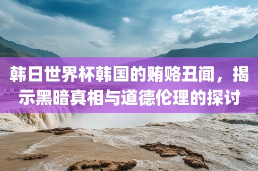韩日世界杯韩国的贿赂丑闻，揭示黑暗真相与道德伦理的探讨漯河市盈旭机械设备有限公司