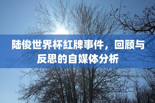 陆俊世界杯红牌事件，回顾与反思的自媒体分析