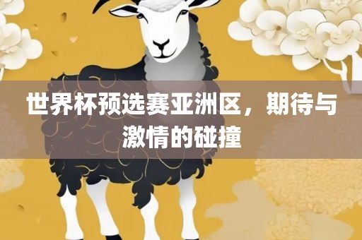世界杯预选赛亚洲区，期待与激情的碰撞