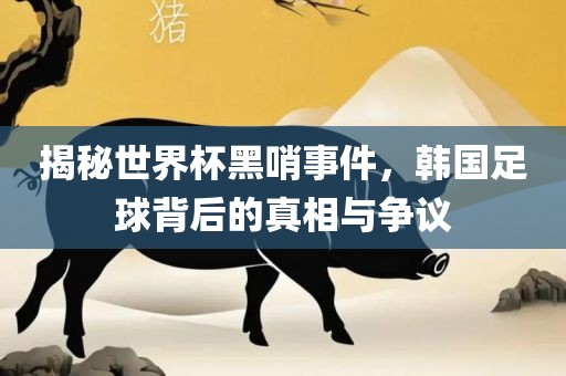 揭秘世界杯黑哨事件，韩国足球背后的真相与争议