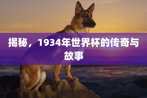 揭秘，1934年世界杯的传奇与故事